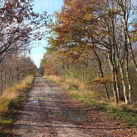 Aballo - In Gruener Oase Mit Ruhe Und Komfort Apartment Utarp